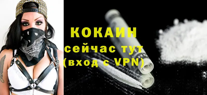 Cocaine Эквадор  где можно купить наркотик  Петровск-Забайкальский 